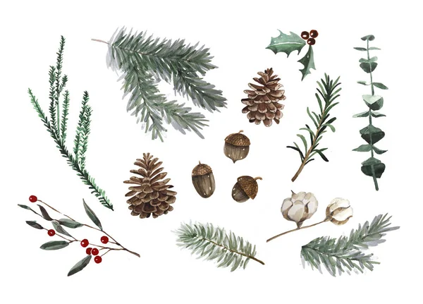 Jasne, akwarela, Wesołych Świąt zestaw tradycyjny wystrój z elementami - rośliny. — Zdjęcie stockowe