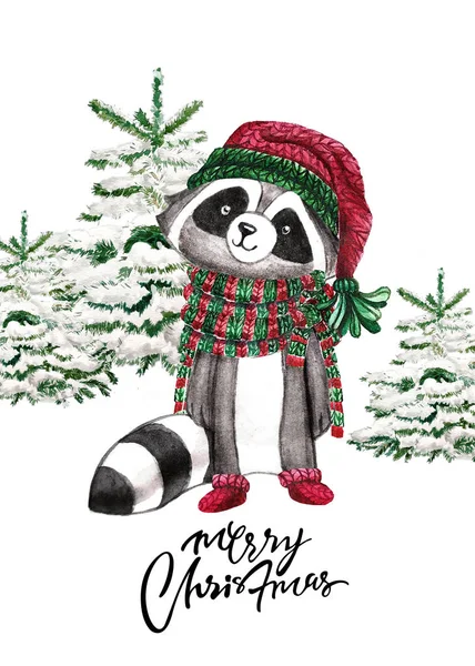 Navidad Woodland Cute bosque de dibujos animados mapache, oso personaje animal. Conjunto de invierno de la tarjeta de año nuevo —  Fotos de Stock