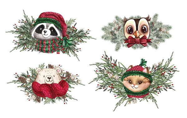 Et julesett Skogstegneserie har en søt ugle, en katt og en vaskebjørn. Vintersett med blomsterelementer, buketter, bær, flak, snø og snøflak , – stockfoto