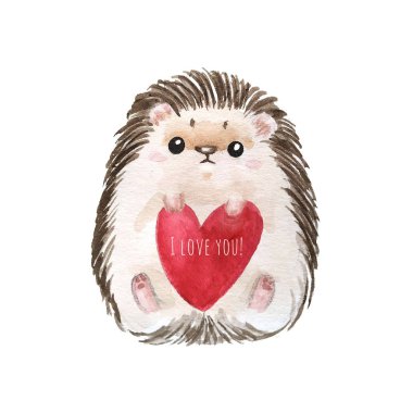 Kirpi, kırmızı kalp ve Sevgililer günü için seni seviyorum metin tebrik kartı. Beyaz arka plan ile şirin suluboya çizgi film karakteri. -İllüstrasyon