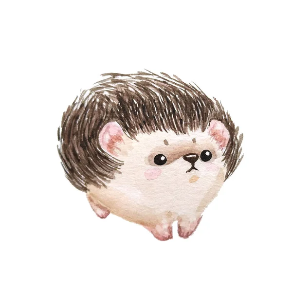 Set of hedgehogs. Natural background with cute watercolor cartoon character. - Illustration — Stock Photo, Image