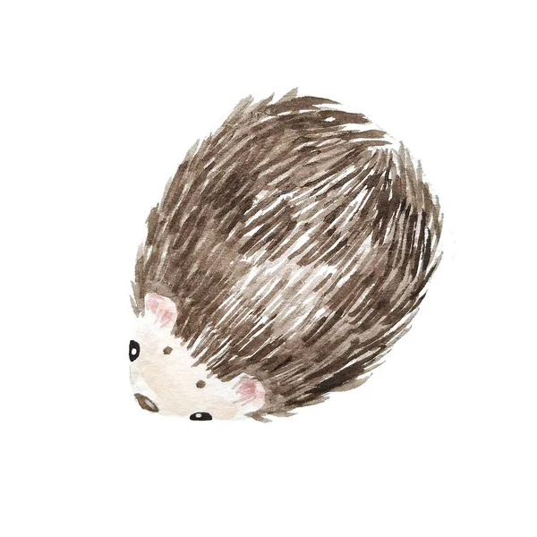 Set of hedgehogs. Natural background with cute watercolor cartoon character. - Illustration — Stock Photo, Image