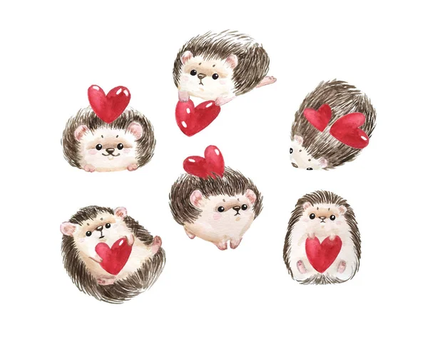 Set egel, rood hart en tekst ik hou van je voor St. Valentijnsdag. Witte achtergrond met schattige aquarel stripfiguur. -Illustratie — Stockfoto