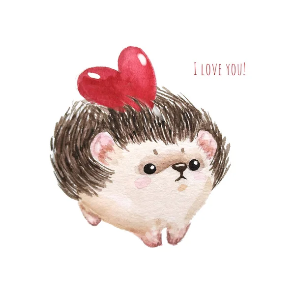 Holiday card with hedgehog, red heart and text I love you for St. Valentine day. White background with cute watercolor cartoon character. - Illustration — Stock Photo, Image