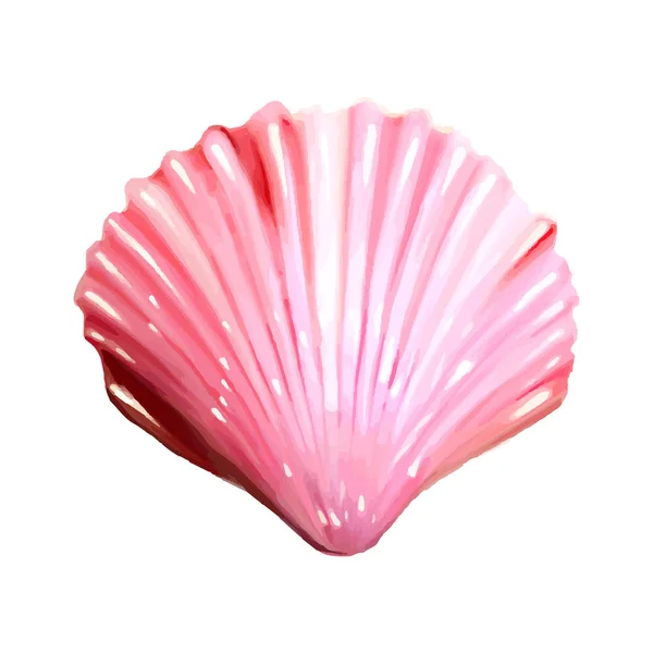 一套粉红色的贝壳 向量例证 在海底 水下紫色的生命 粉红色的海胆 软体动物 向量例证 — 图库矢量图片