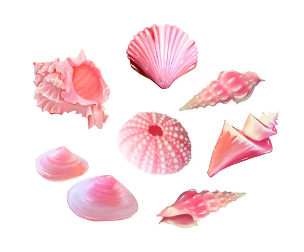 一套粉红色的贝壳 向量例证 在海底 水下紫色的生命 粉红色的海胆 软体动物 向量例证 — 图库矢量图片