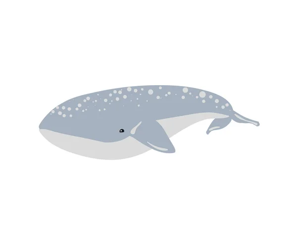 Ilustración Vectorial Ballena Ilustración Vectorial Ballenas — Vector de stock