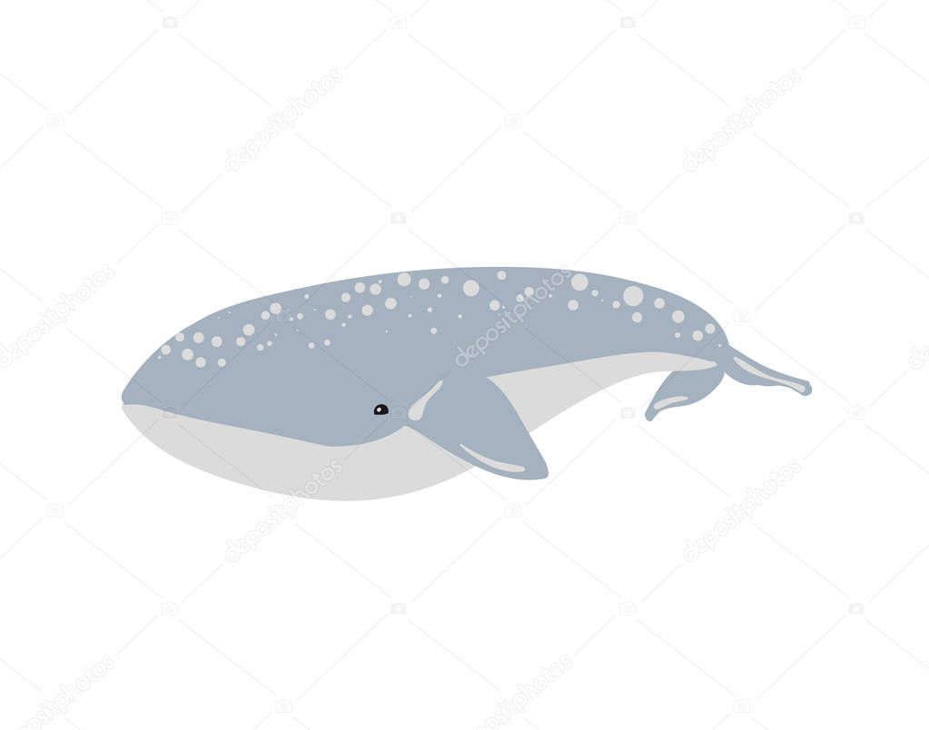 Vector illustration of whale. Vector illustration of whale.