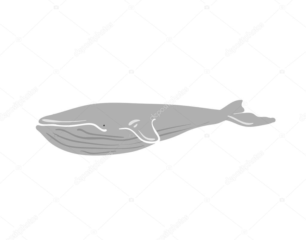 Vector illustration of whale. Vector illustration of whale.