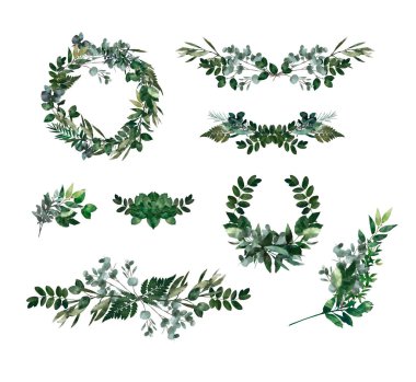 Watercolor modern decorative element.  Eucalyptus round Green leaf Wreath, greenery branches, garland, border, frame, elegant watercolor isolated, clipart