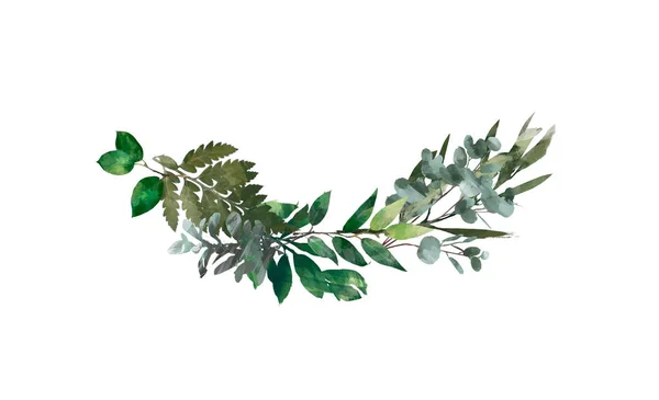 Suluboya modern dekoratif unsur. Okaliptüs yuvarlak yeşil yaprak çelenk, yeşil dallar, garland, sınır, çerçeve, zarif suluboya izole,