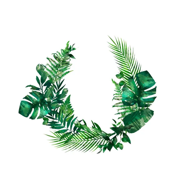Suluboya Modern Dekoratif Unsur Okaliptüs Yuvarlak Yeşil Yaprak Çelenk Yeşil — Stok fotoğraf