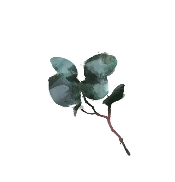 Aquarel Moderne Decoratief Element Eucalyptus Ronde Groene Blad Krans Groen — Stockfoto