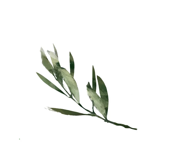 Aquarelle Élément Décoratif Moderne Eucalyptus Rond Feuille Verte Couronne Branches — Photo