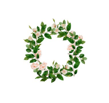 Beyaz arka planda el boyalı suluboya çiçek çelenk. Çelenk, çiçek çerçevesi, suluboya çiçekler, şakayık ve güller, Illustration el boyalı. Beyaz arka planda yalıtılmış.