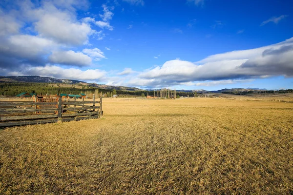 Pascolo Bestiame Vuoto Con Bellissimo Paesaggio All Alba Nord Ovest — Foto Stock