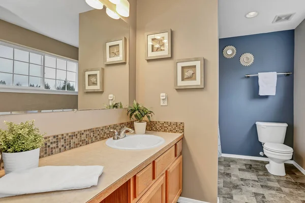 Intérieur Salle Bain Avec Grand Miroir Mur Bleu — Photo