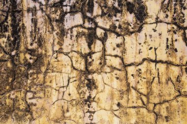 Doku duvar eski. Çatlaklar ve mantar noktalar ile kaplıdır. Grunge