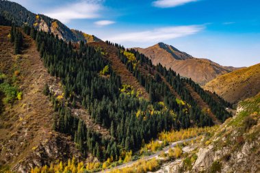 Sonbahar dağlarda. Tien Shan. Trans-Ili Alatau. Kazakistan
