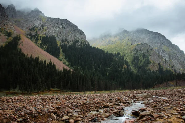 Paisaje Montaña Tien Shan Valle Del Río Dejó Talgar Región — Foto de Stock