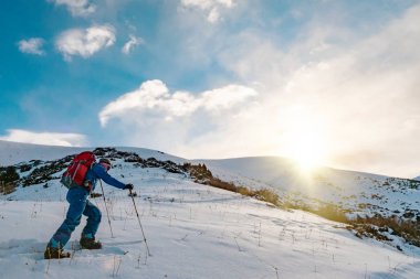Bir adam skituring bölünmüş snowboard üzerinde çalışmaktadır. Bir adam bir çam ormanının arka planda girer. Dağları, Kırgızistan