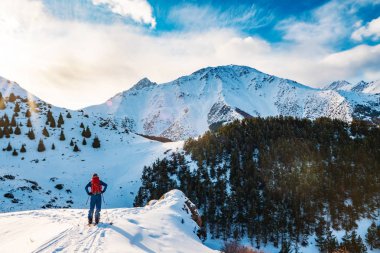 Bir adam skituring bölünmüş snowboard üzerinde çalışmaktadır. Bir adam bir çam ormanının arka planda girer. Dağları, Kırgızistan
