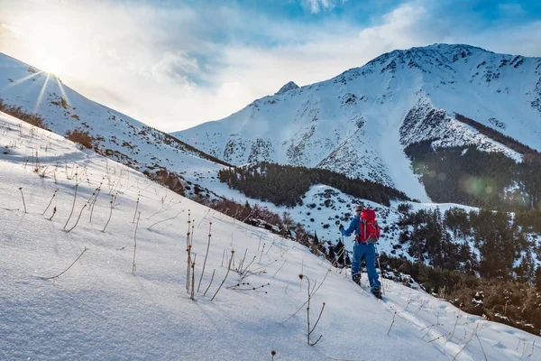 Hombre Dedica Patinar Snowboard Dividido Hombre Camina Sobre Fondo Bosque — Foto de Stock