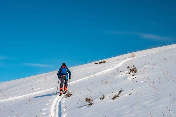 Turismo Esquí Hombre Sube Colina Deporte Invierno Kirguistán —  Fotos de Stock