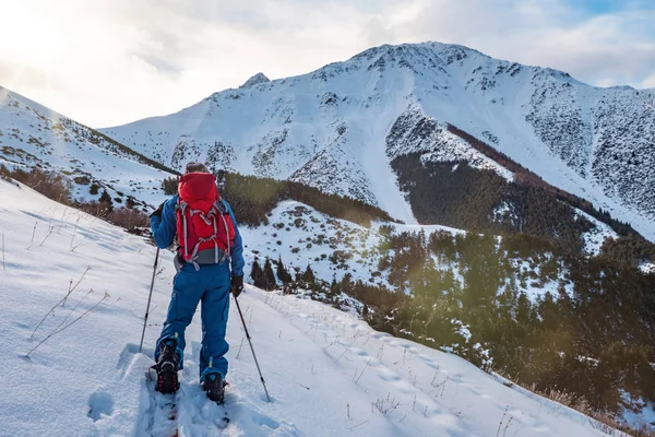 Man Mountains Ski Touring Split Snowboard Man Stands His Back — Stock Photo, Image