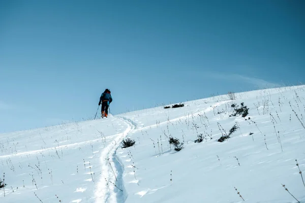 Esquí Gira Hombre Sube Colina Deporte Invierno Kirguistán —  Fotos de Stock