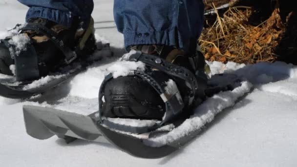 一个人从他的脚上脱下雪鞋 在大自然中的冬季旅行 — 图库视频影像