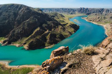 Ili Nehri bahar. Kazakistan. Almatı bölge