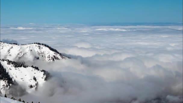 Movimiento Una Densa Capa Nubes Sobre Suelo Las Montañas Brotan — Vídeos de Stock