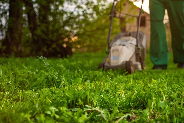 裏庭の緑の草をカットの芝刈機 — ストック写真