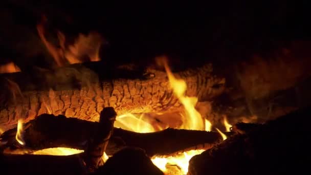 Der Nacht Brennt Ein Lagerfeuer Nahaufnahme Zeitlupe Funken Von Brennendem — Stockvideo