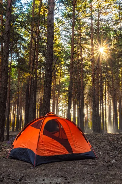 Tente orange dans la forêt du matin. Matin en plein air — Photo