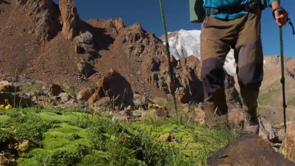 Close Van Benen Van Een Toeristische Wandelen Bergen Een Man — Stockvideo