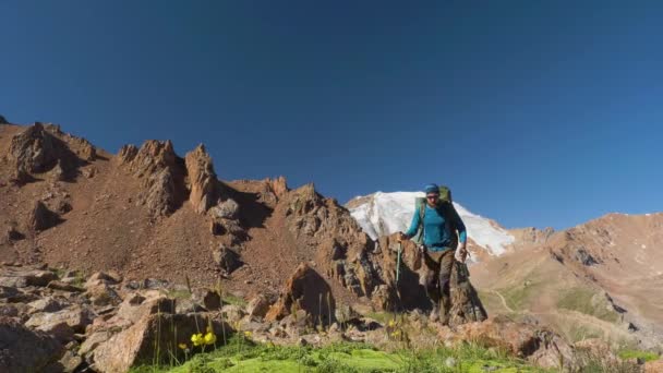 バックパックを持つハイカーは 高い山の旅をします トレッキングポールを使って石の中を歩く観光客 — ストック動画