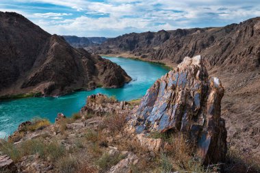 İlkbaharda Ili Nehri. Kazakistan. Almaty Bölgesi. Kaynak Çin 'de. Balkhash Gölü 'ne akıyor.