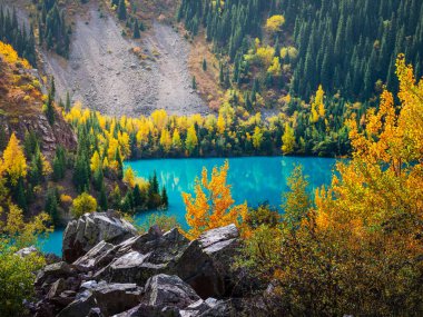 Issyk Gölü 'nün sonbahar manzarası. Turkuaz göl sarı ağaçlı dağlarla çevrilidir..