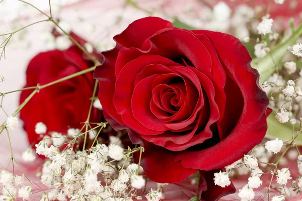 Makro Eines Straußes Roter Rosen Mit Gipsophila — Stockfoto
