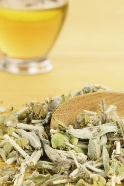 dağ çay yaprakları ve arka planda çay ile pota