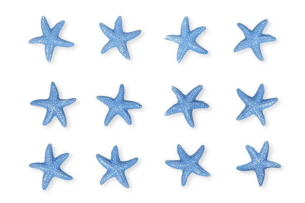 Twelve Blue Starfish White Backgrounds — Stock Photo, Image