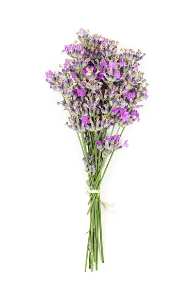 Mazzo Fiori Lavanda Superficie Bianca — Foto Stock