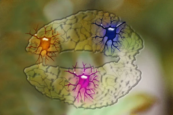Περίληψη Του Ανθρώπινου Εγκεφάλου Νευρώνες Royalty Free Εικόνες Αρχείου