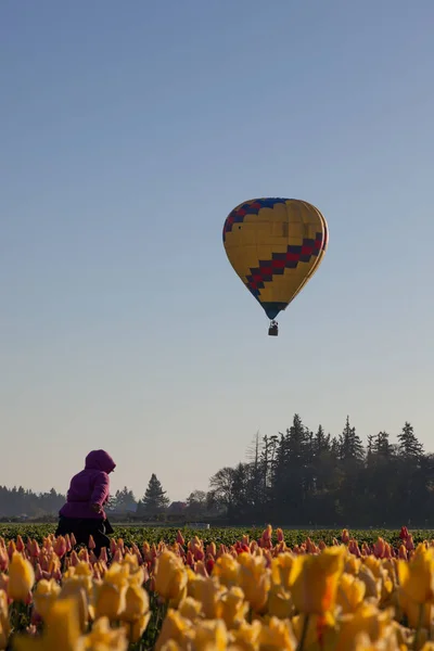 Woodburn Oregon April 2014 Hot Air Balloon Taking Morning Flight — Stock Photo, Image