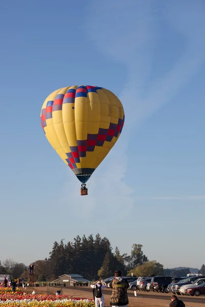 ウッドバーン オレゴン 2014 午前便を引き継ぐ咲くチューリップ熱気球場ウッドバーン または 2014 日には観光客の完全 — ストック写真