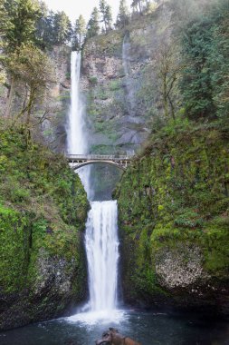 Bahar arkasında ve eski bir görüntüleme altında akan içinde Multnomah Falls köprü ve aşağı yosun kaplı kaya yüzleri arasında.