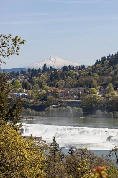 Der Willamette Fluss Der Über Die Felsen Von Willamette Fällt — Stockfoto