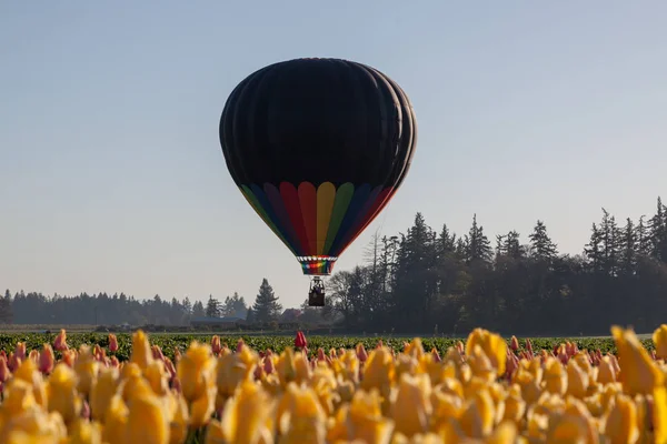 フォア グラウンドでチューリップとバック グラウンドで背の高い木々 の緑の野原の上飛行を始めて 熱気球 — ストック写真